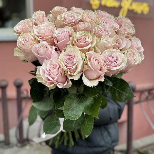 25 Эквадорских роз Пинк Мондиаль