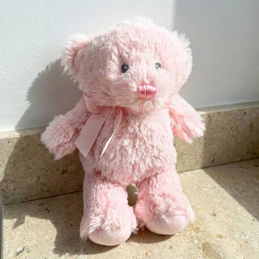 Pink Tina teddy bear