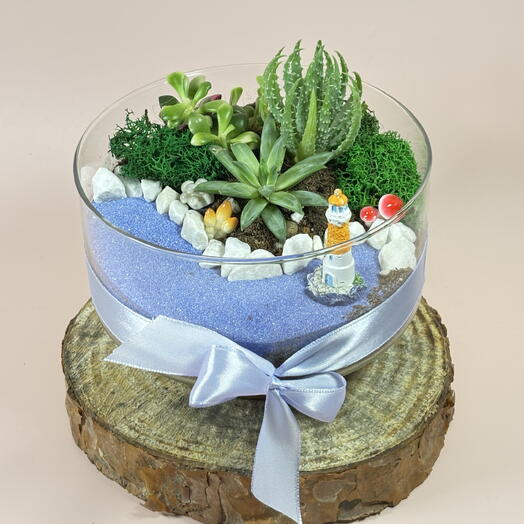 Флорариум с редкими суккулентами - маяк