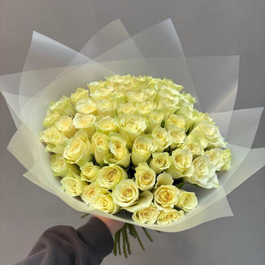 Роза Кения белая 51 шт