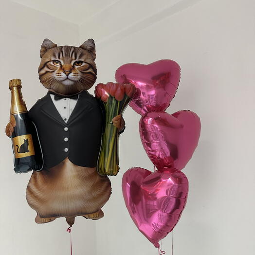Шарики и котик с шампанским и тюльпанами