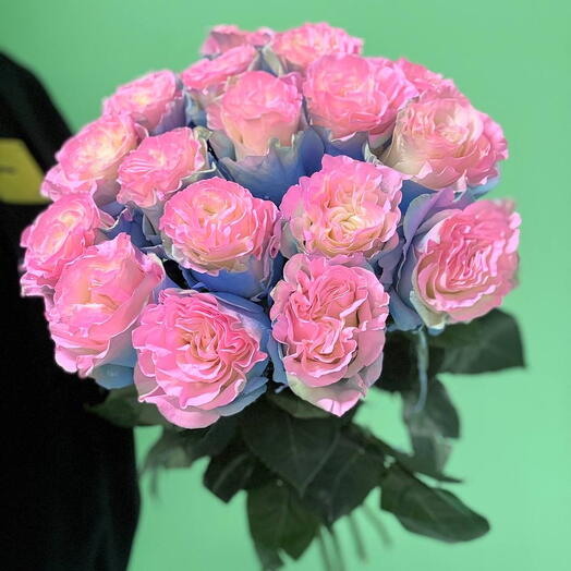 Букет Барби.  17 розово-голубых роз Эквадор