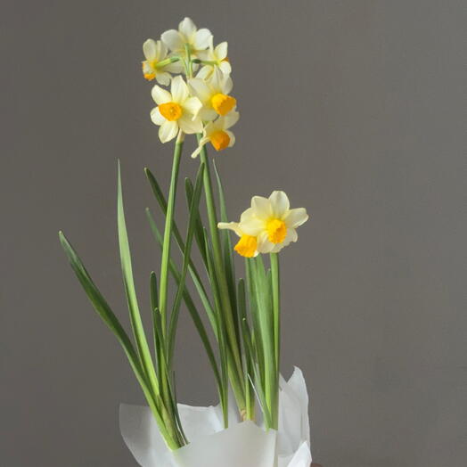 «Спасибо, что не нарцисс»