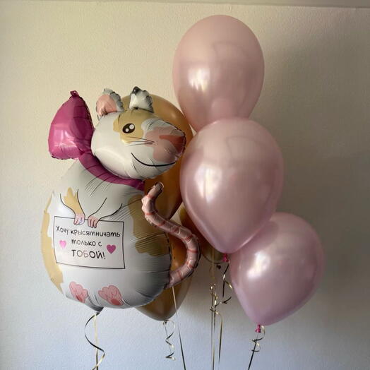 Шары для подруги с фигурой крыски с доставкой в Калининграде 🎈