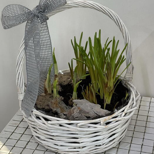 Корзина Весна