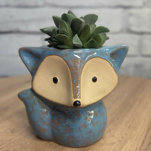 Суккулент в горшке"Цветочный лисенок"