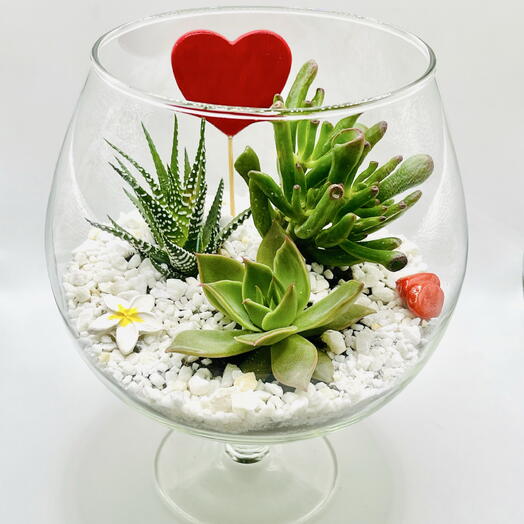Флорариум с суккулентами Сад в стекле «Вместо тысячи слов»