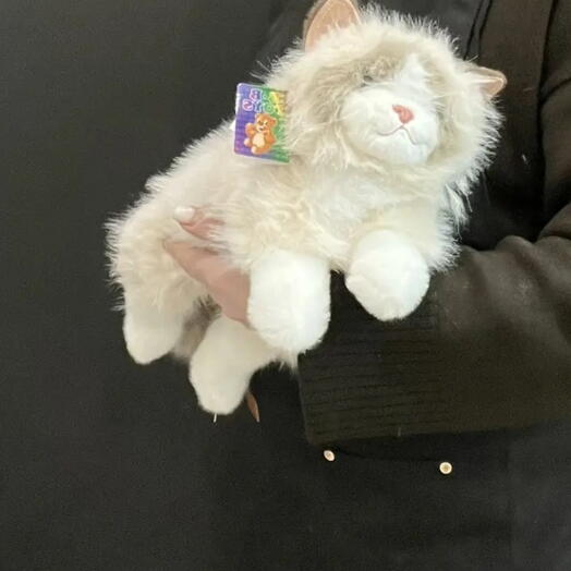 Котик 💞