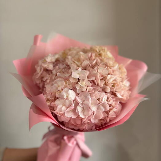 Розовая гортензия🌷