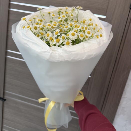 Букет ромашки S