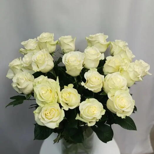 Розы мондиаль 25