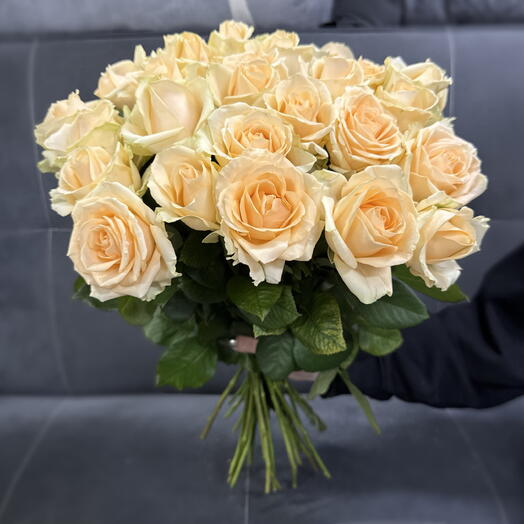 Роза Пинч Аваланш 31