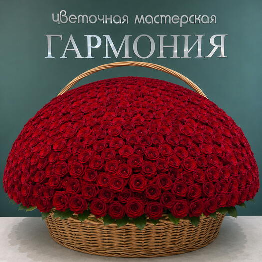 1001 Ароматная роза 🌹