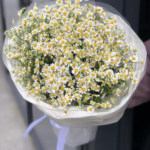 Маленькие ромашки 🌼