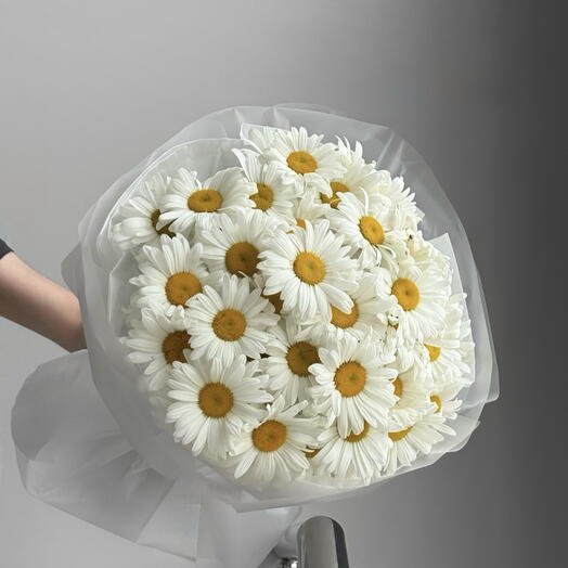 Ромашки крупные