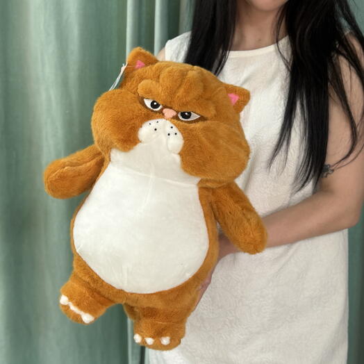 Мягкая игрушка злой рыжий кот