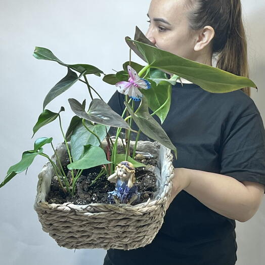 Антуриумы в большом плетеном кашпо