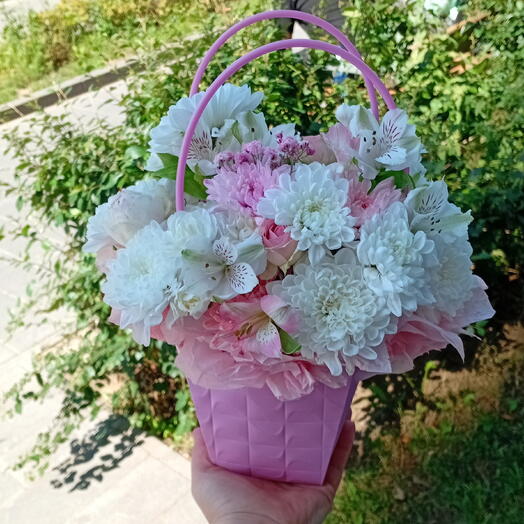 Хризантема
