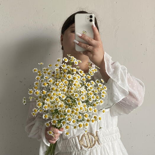 Ромашки полевые кустовые - матрикария 💛 7