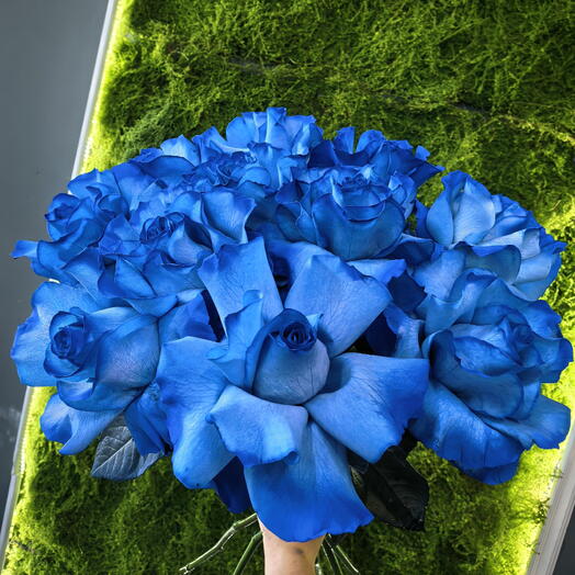 Моно букет из синих французских роз💙💙💙
