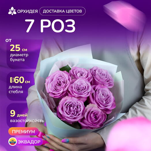 Букет 7 Пионовидных роз "Куинси"