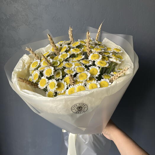 Поле ромашек (сантини, колосья)