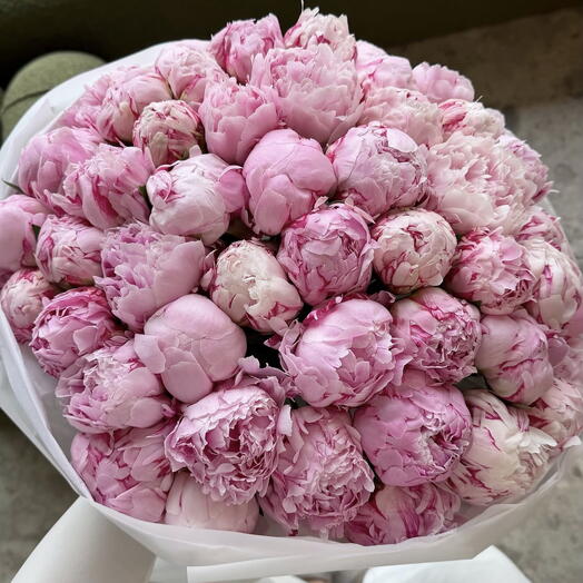 Premium Peonies