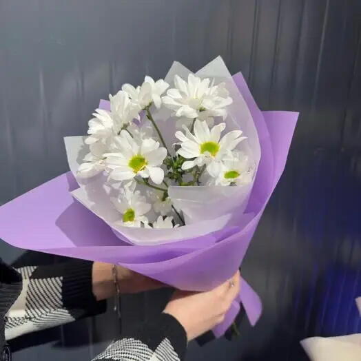 Букет-комплимент из ромашковидной хризантемы фиолетовый 1 сентября