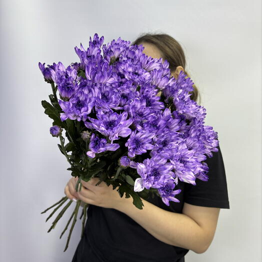 Акция! 9 фиолетовых хризантем