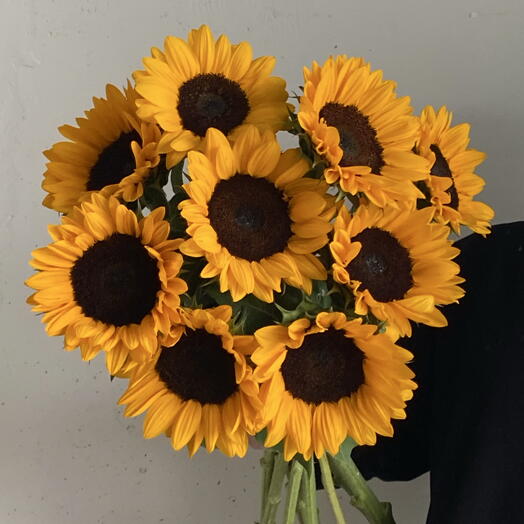 Солнечные Подсолнухи - 9 штук 🌻