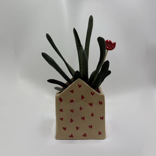 Гастерия (Gasteria) в керамическом кашпо «Вместо тысячи слов»
