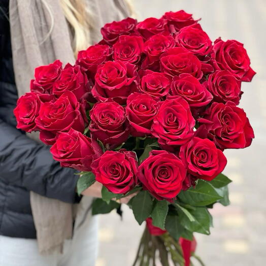 Розы  бордовые в букете 23 шт