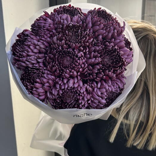 Burgundy chrysanthemum