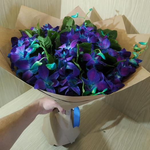 Dendrobium 2