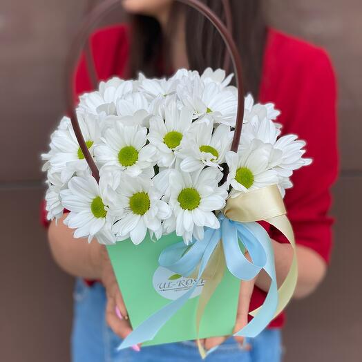 Twilight with daisies
