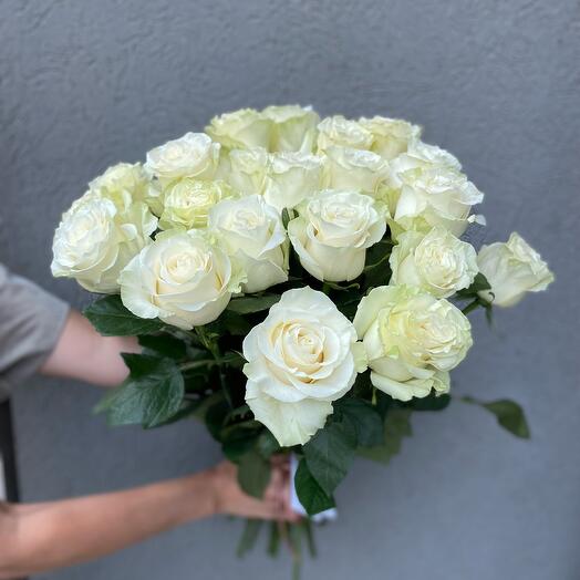 Rosas blancas Premium 21