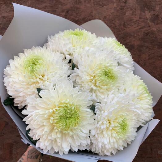 Bouquet of 7 large white Chrysanthemums