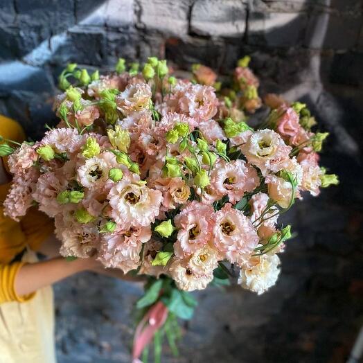 Букет из 31 персиковой эустомы (лизиантусов) "Каас"