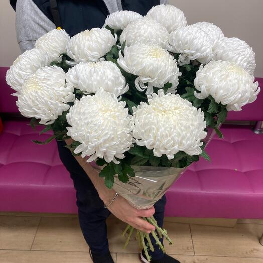 15 chrysanthemums