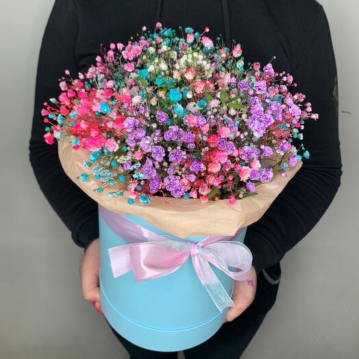 Colored gypsophila