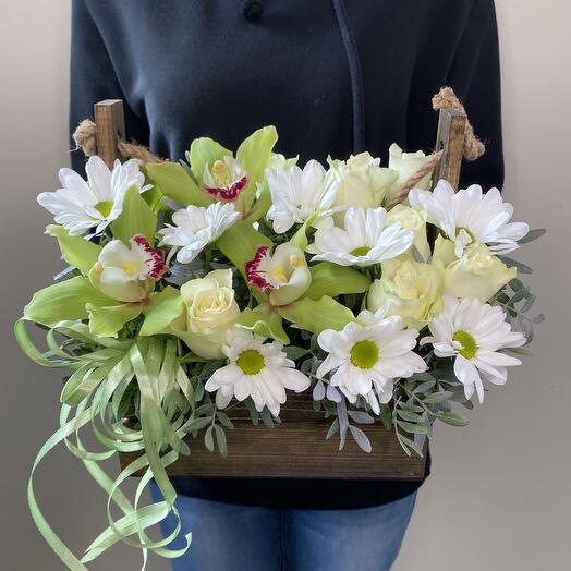 Caja de orquídeas