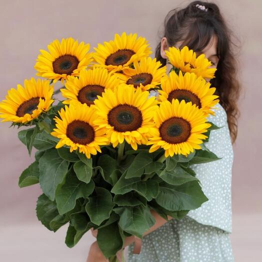 Sunflowers 11 pcs