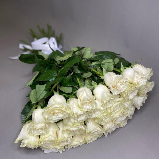 Голландская Роза