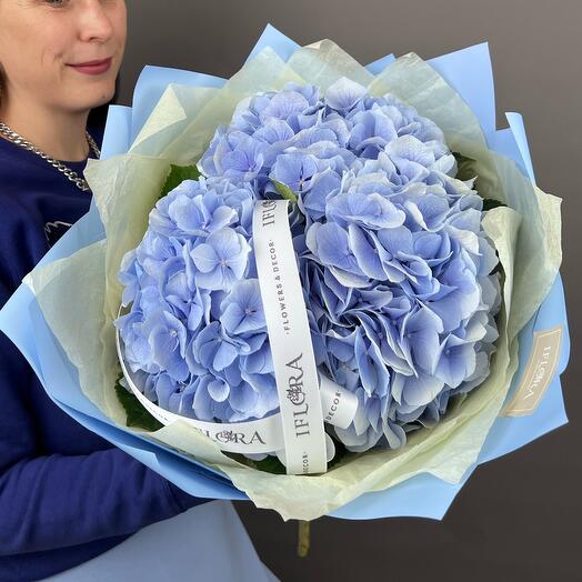 Nube de hortensias