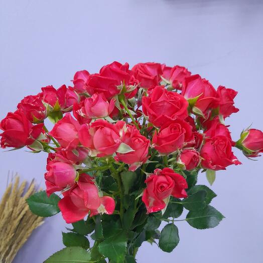 Romántico