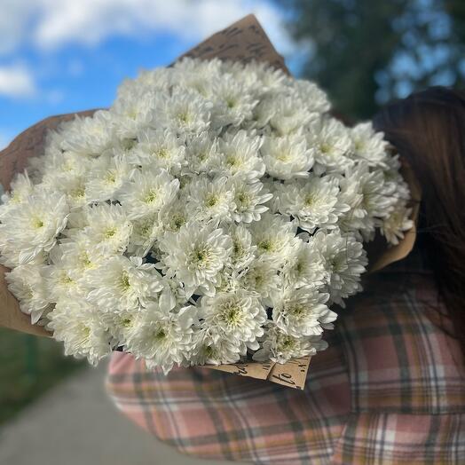 Хризантема 15 штук