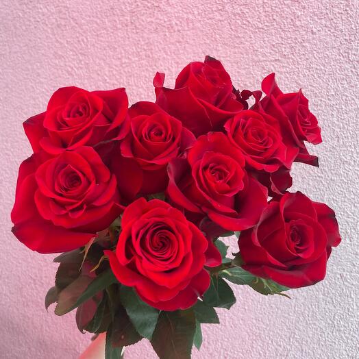 Mono de 9 rosas