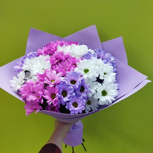 9 bush chrysanthemums
