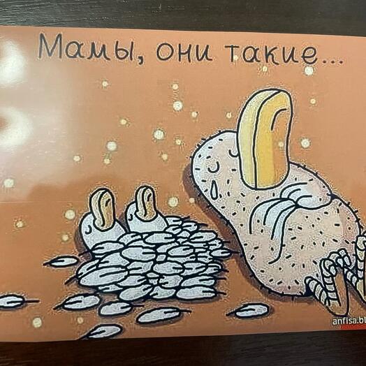 Открытка