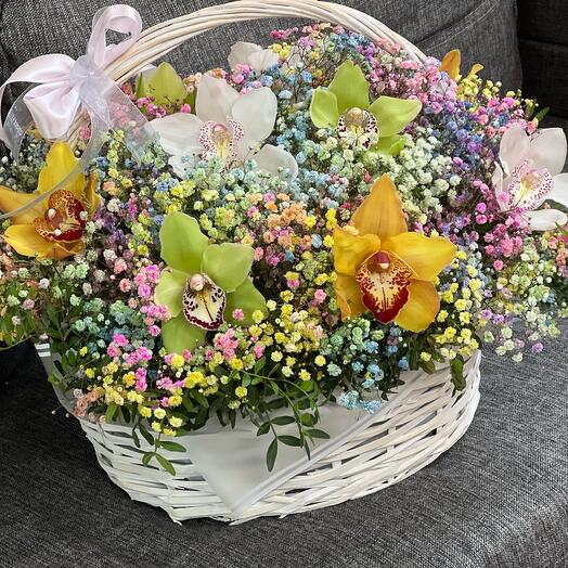 Cesta de aire con Cymbidium